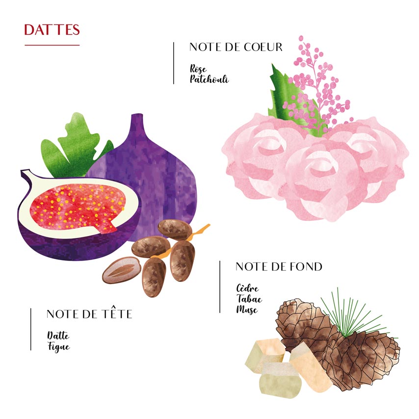 Recharge de Parfum Dattes - Côté Bougies
