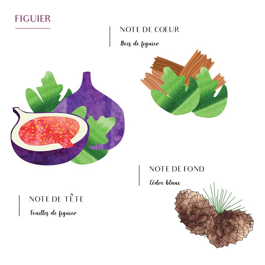 Diffuseur de Parfum d'Ambiance Raphia - Côté Bougie