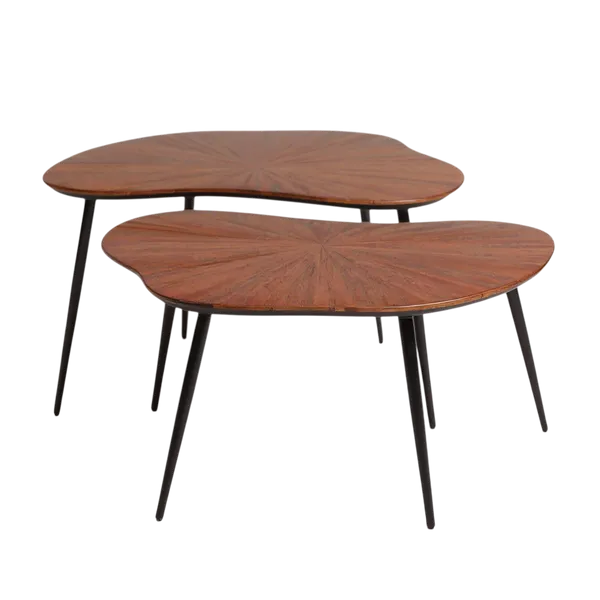Table Basse Gigogne en Teck (2 dimensions)serie de deux tables