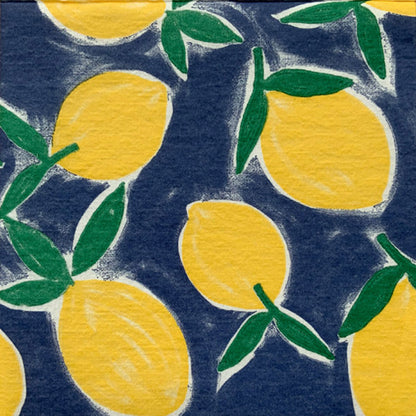 Set de 20 Serviettes de Table en Intissé 25x25 / 40x40 cm - Françoise Paviot