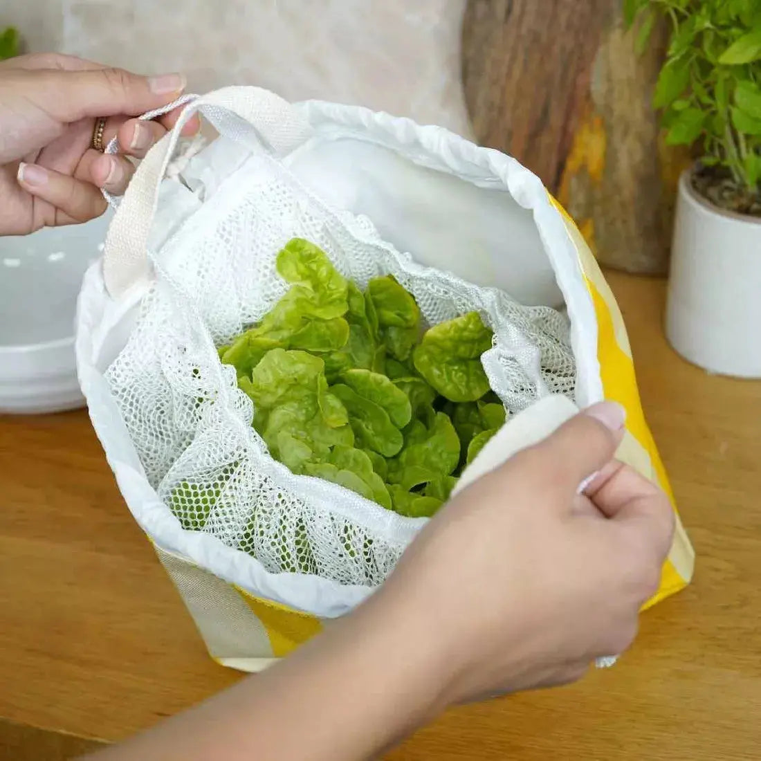 Essoreuse à Salade Compacte - Cookut