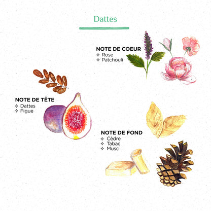 Bougie Raphia Radia Senteur Dattes - Côté Bougie