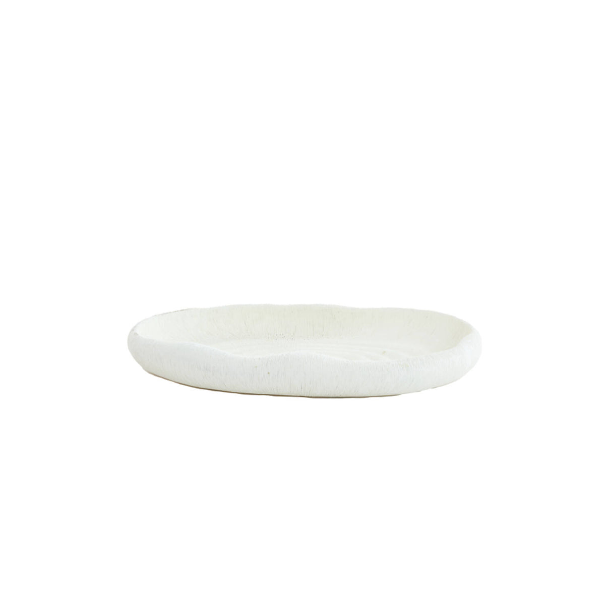 Vide-Poches Coquillage Blanc - Light & Living