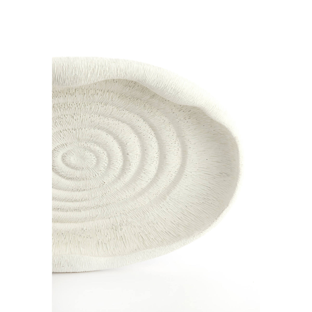 Vide-Poches Coquillage Blanc - Light & Living