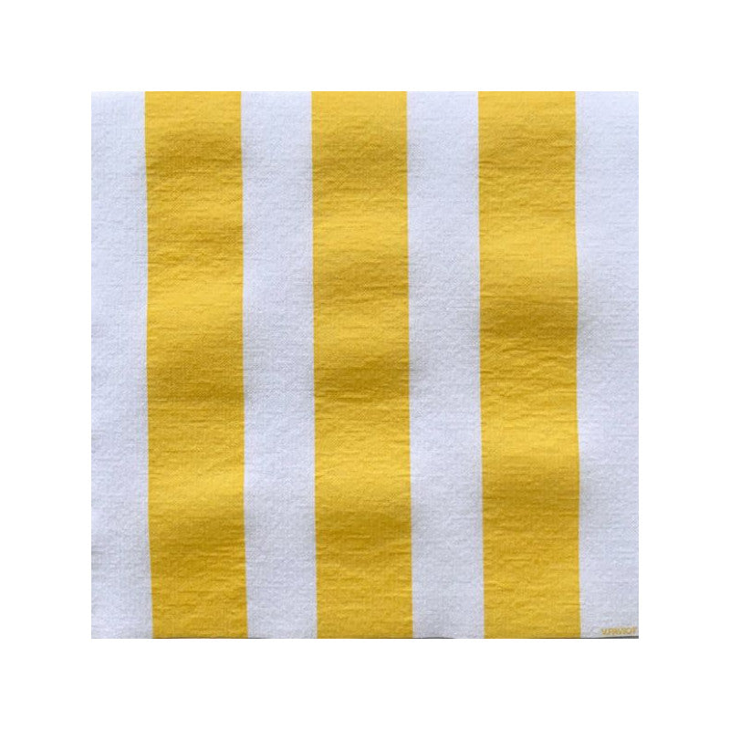 Set de 20 Serviettes de Table en Intissé 25x25 / 40x40 cm - Françoise Paviot